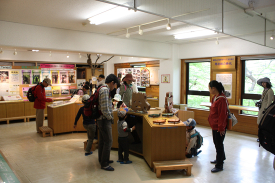 ビジターセンター館内の様子。高尾山の生き物や植物の展示が多数。