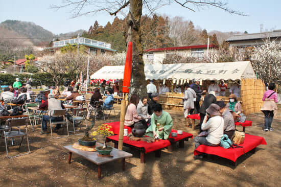 Sekisho (barrier) plum grove. Events such as Nodate (an open‐air tea ceremony) and Koto performances are also held.