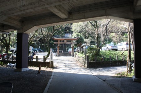 IMG_1847 氷川神社臨時駐車場