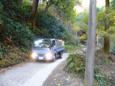 P1030571 参道を通る車