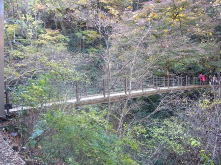 P1030755 吊り橋