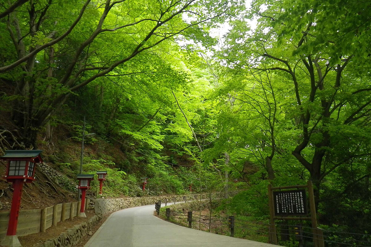 1号路 登山コース 高尾山マガジン