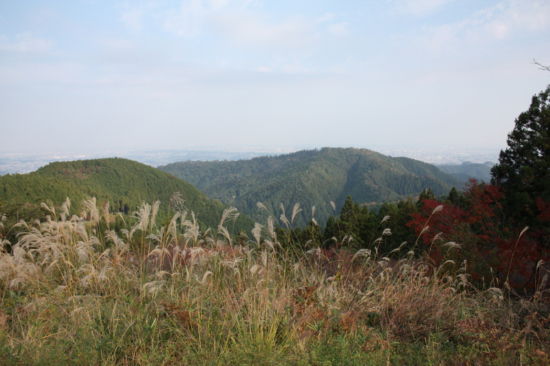小仏城山の展望台。向こうに見えるのは高尾山。