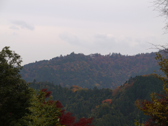 高尾山の手前ビアマウントが良く見えます！