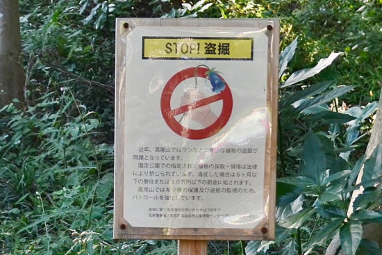 STOP!盗掘の看板。違反者は６ヶ月以下の懲役または50万円以下の罰金。