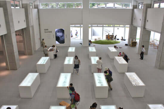 2Fから俯瞰した展示室。