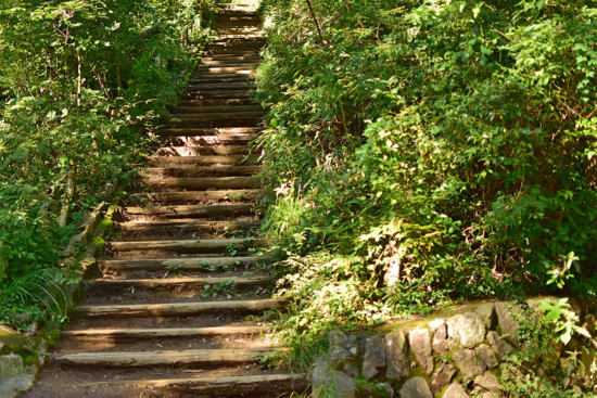 巻き道もあるので、この階段登らなくても山頂にいけますのでご安心ください^^