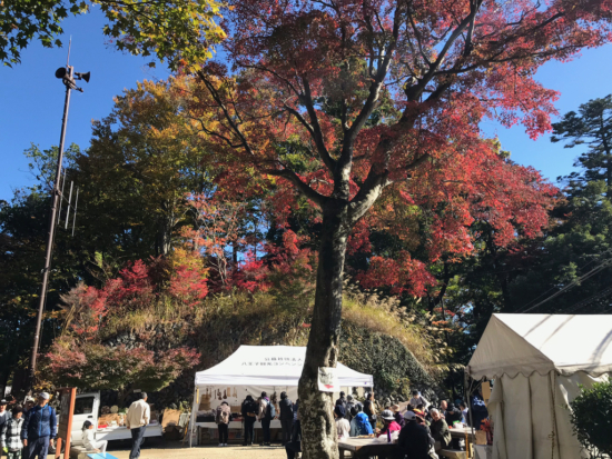 霞台（ビアマウント会場下）でも紅葉する木があります。11月はイベントも開催。