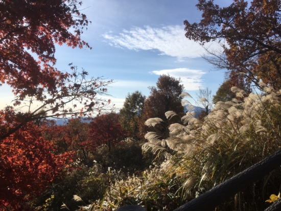 山頂手前では、紅葉とススキが青い空に映えて、とてもきれいでした。