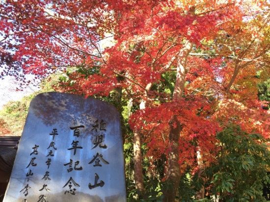 高尾山ケーブル駅麓も紅葉が見ごろです
